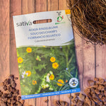 Semences Bio de Souci des Champs – Fleurs Dorées et Plante Aromatique