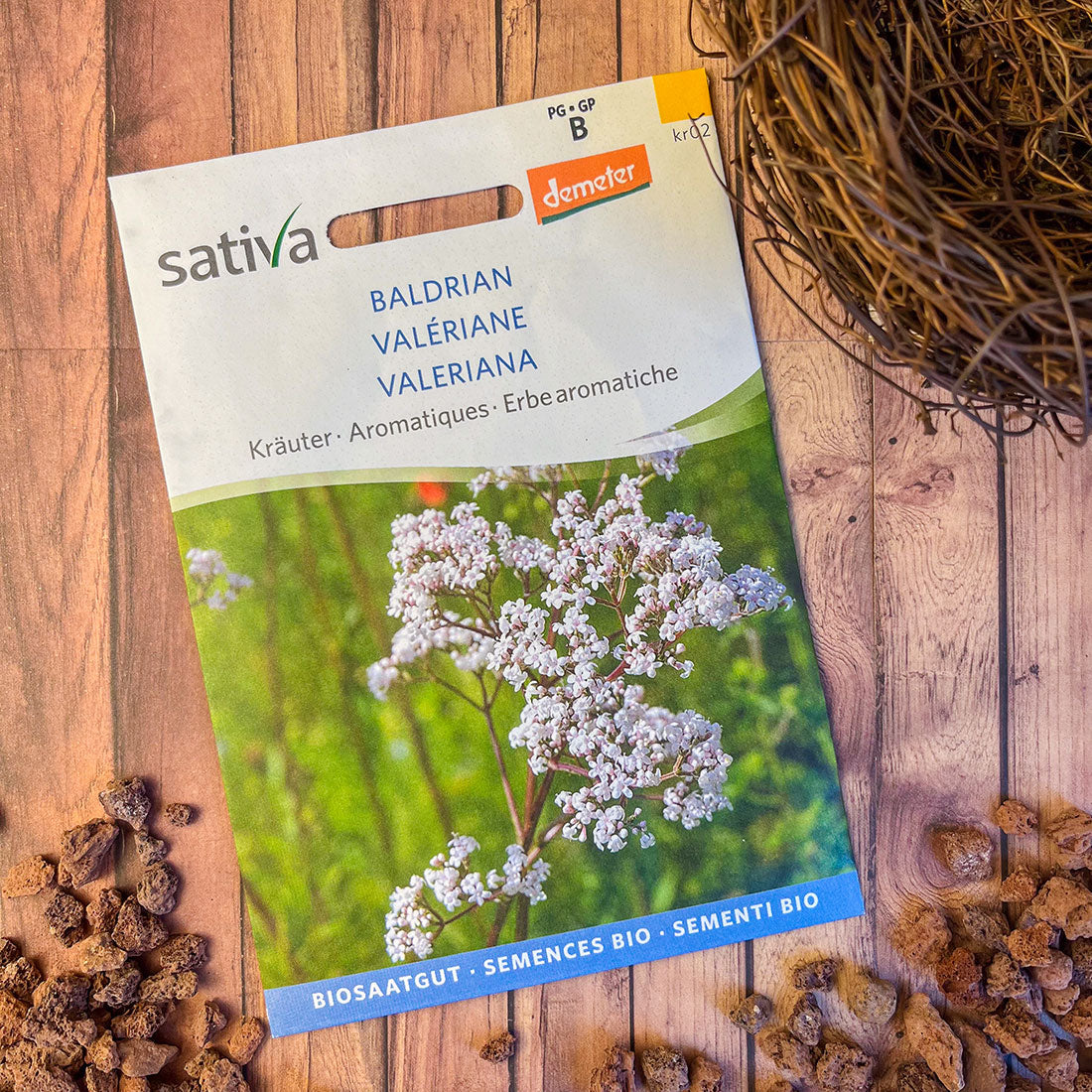 Semences Bio de Valériane – Plante Médicinale et Ornementale