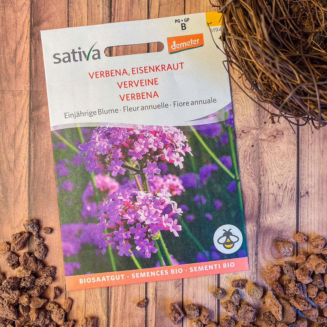 Semences Bio de Verveine de Buenos Aires – Fleurs Mauve-Violet pour Jardin Naturel