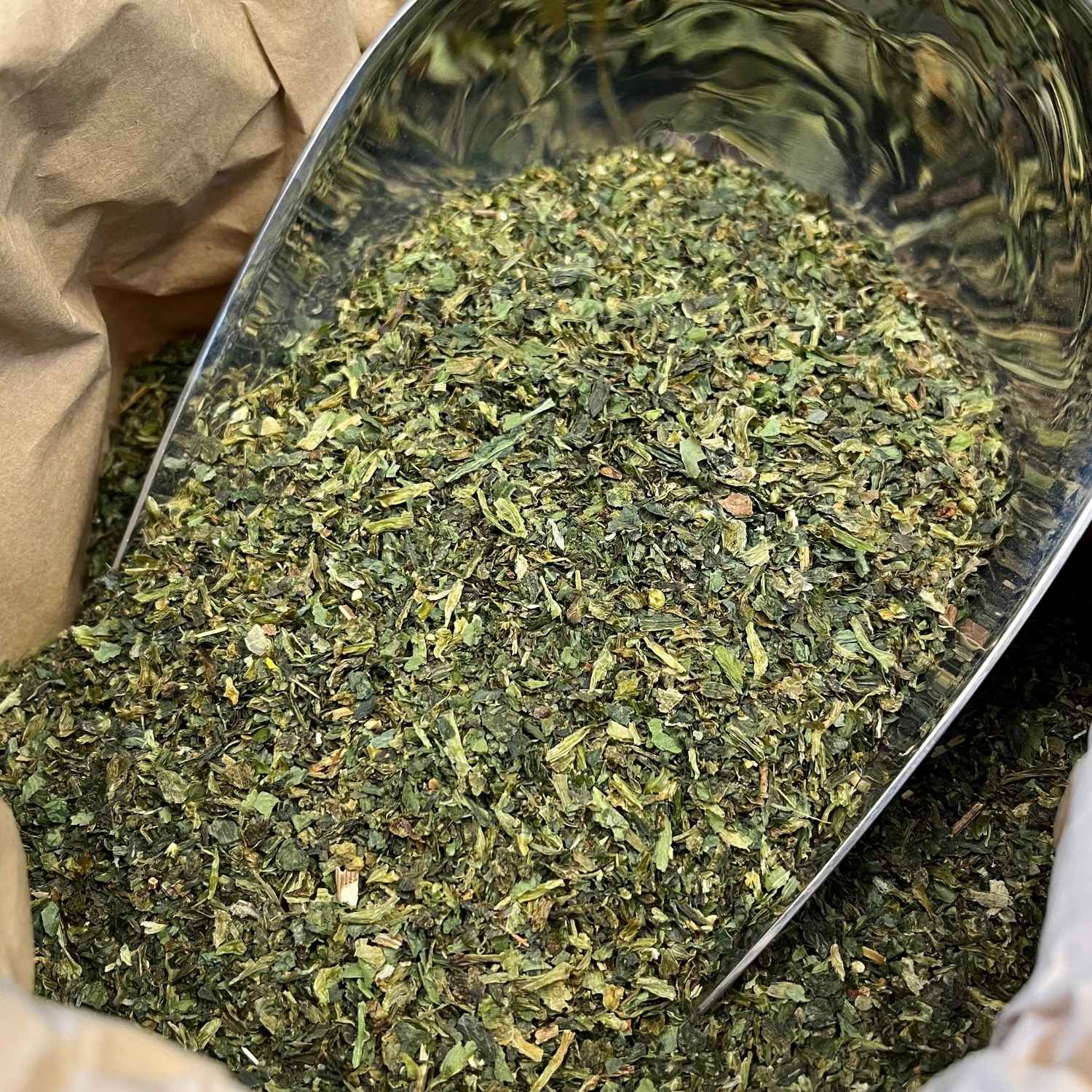 Photo de ail des ours  feuilles france bio séchée vendue par Plantes & Recettes, spécialisée en plantes médicinales de qualité.