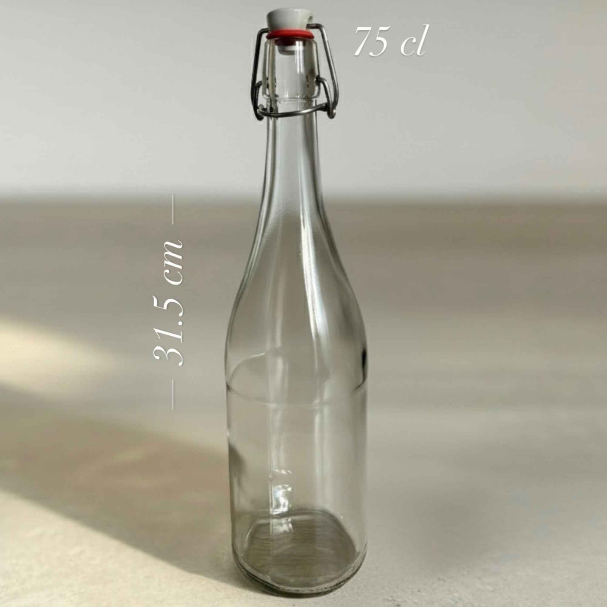 Bouteille hermétique en verre avec fermeture mécanique durable.