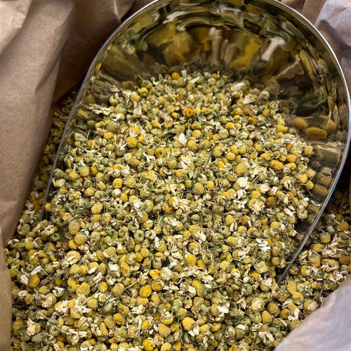 Photo de camomille matricaire  fleurs bio séchée vendue par Plantes & Recettes, spécialisée en plantes médicinales de qualité.