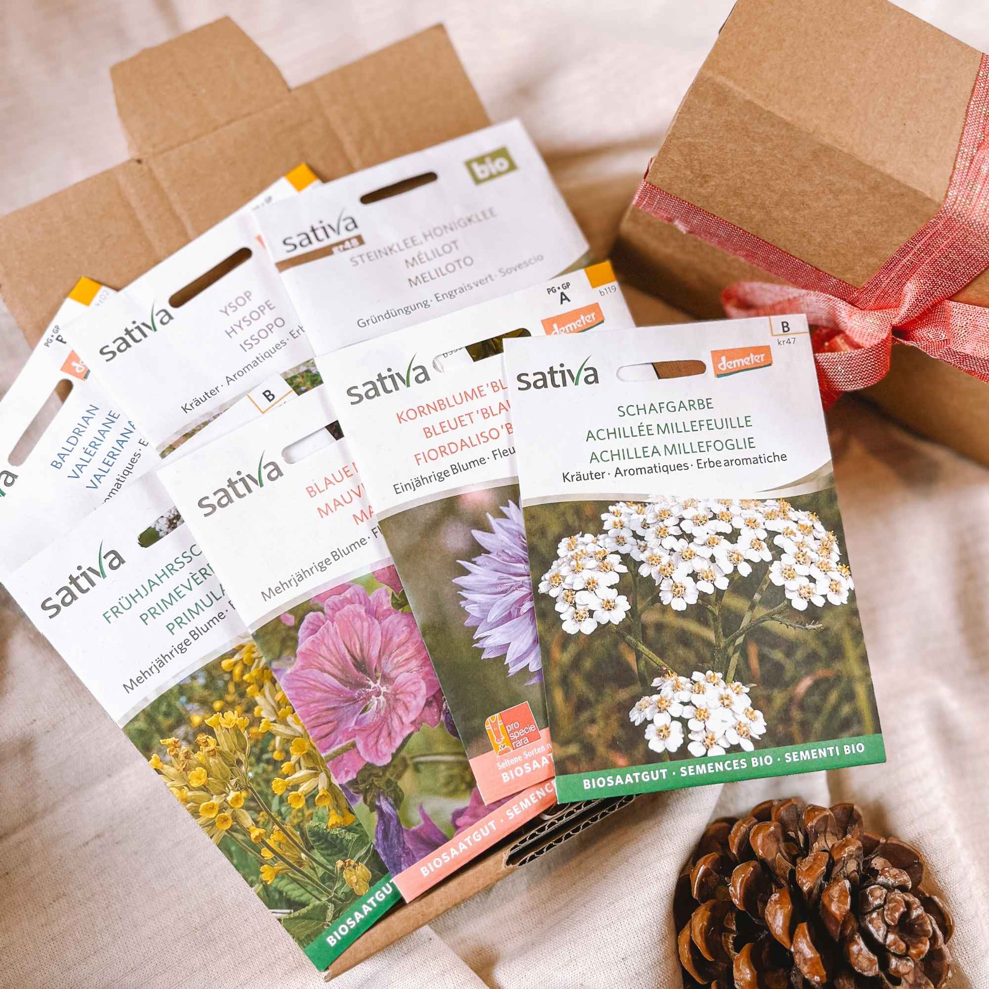 Coffret Graines d’Infusion contenant des semences à cultiver pour réaliser ses propres plantes à infusion, présenté par Plantes & Recettes