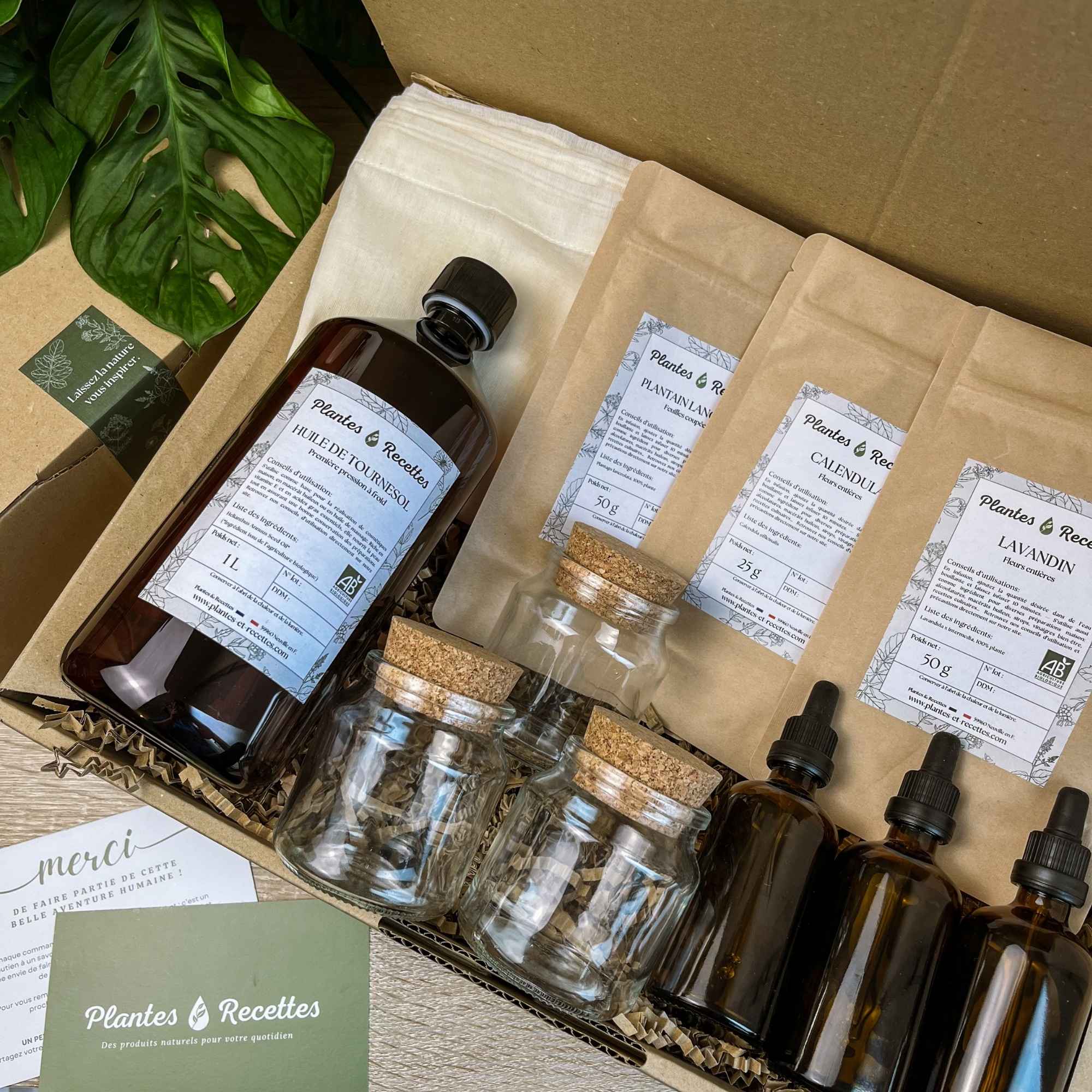 Contenu du coffret Mes premiers macérats huileux – Ingrédients bio, flacons et guide d’accompagnement signés Plantes & Recettes pour des soins faits main.