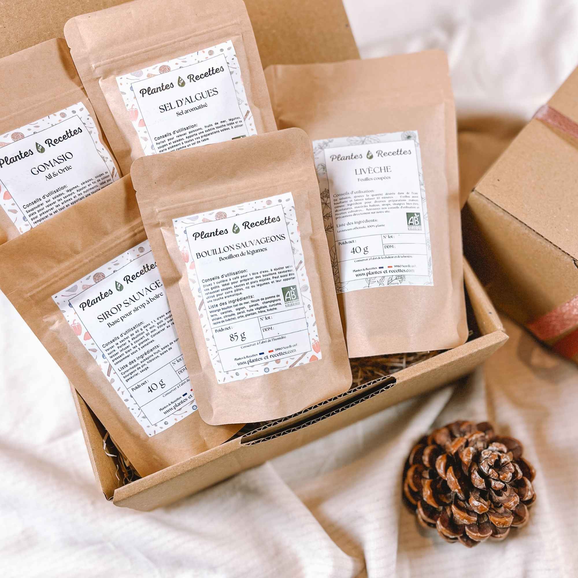 Coffret Saveurs Sauvages avec une sélection de plantes sauvages et mélanges culinaires naturels, présenté par Plantes & Recettes