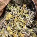 Photo de crapaudine  sommités fleuries bio séchée vendue par Plantes & Recettes, spécialisée en plantes médicinales de qualité.
