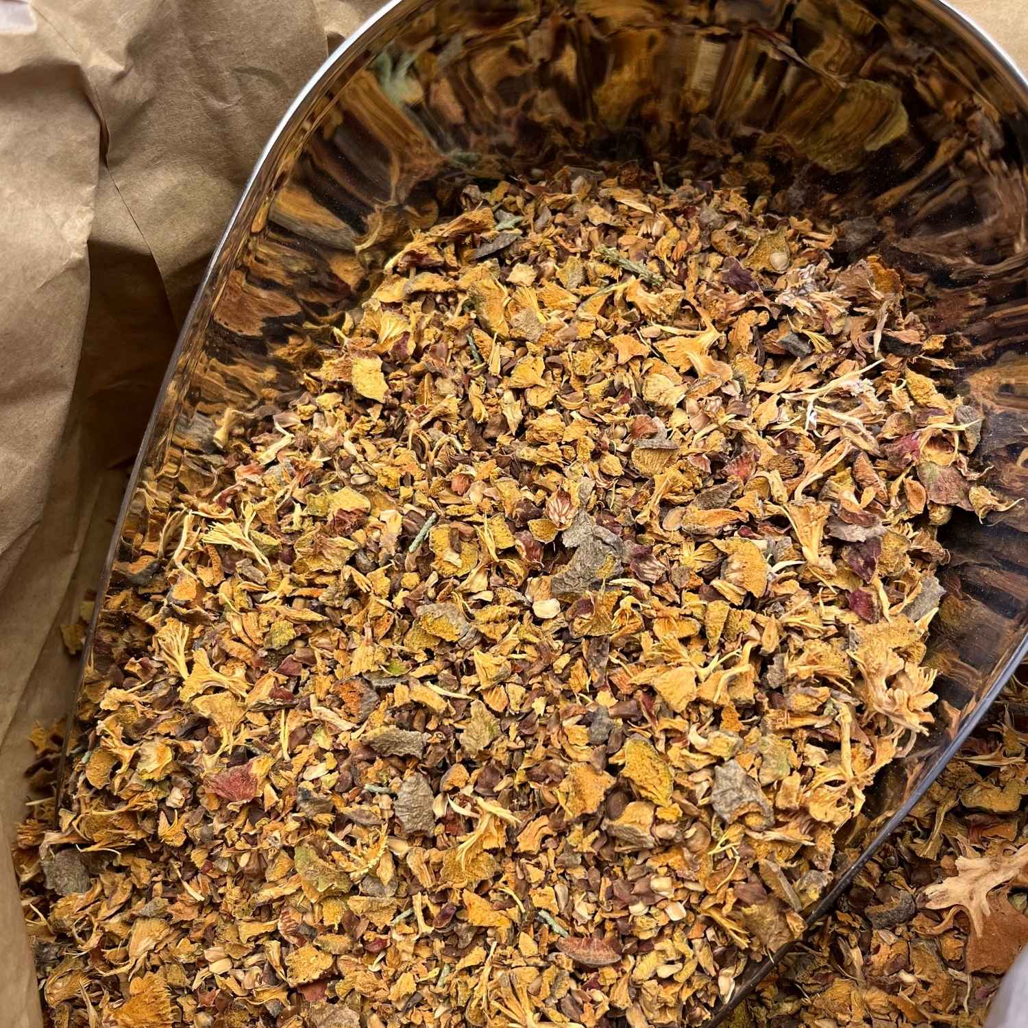 Photo de cyprès  cônes bio séchée vendue par Plantes & Recettes, spécialisée en plantes médicinales de qualité.
