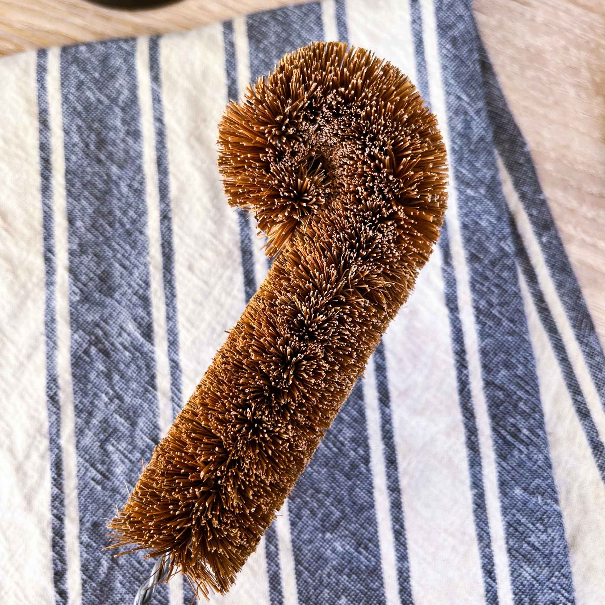 Détail du goupillon en fibres de coco avec embout arrondi, idéal pour nettoyer le fond des récipients.