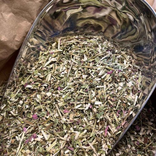 Photo de échinacée purpurea  parties aériennes bio séchée vendue par Plantes & Recettes, spécialisée en plantes médicinales de qualité.