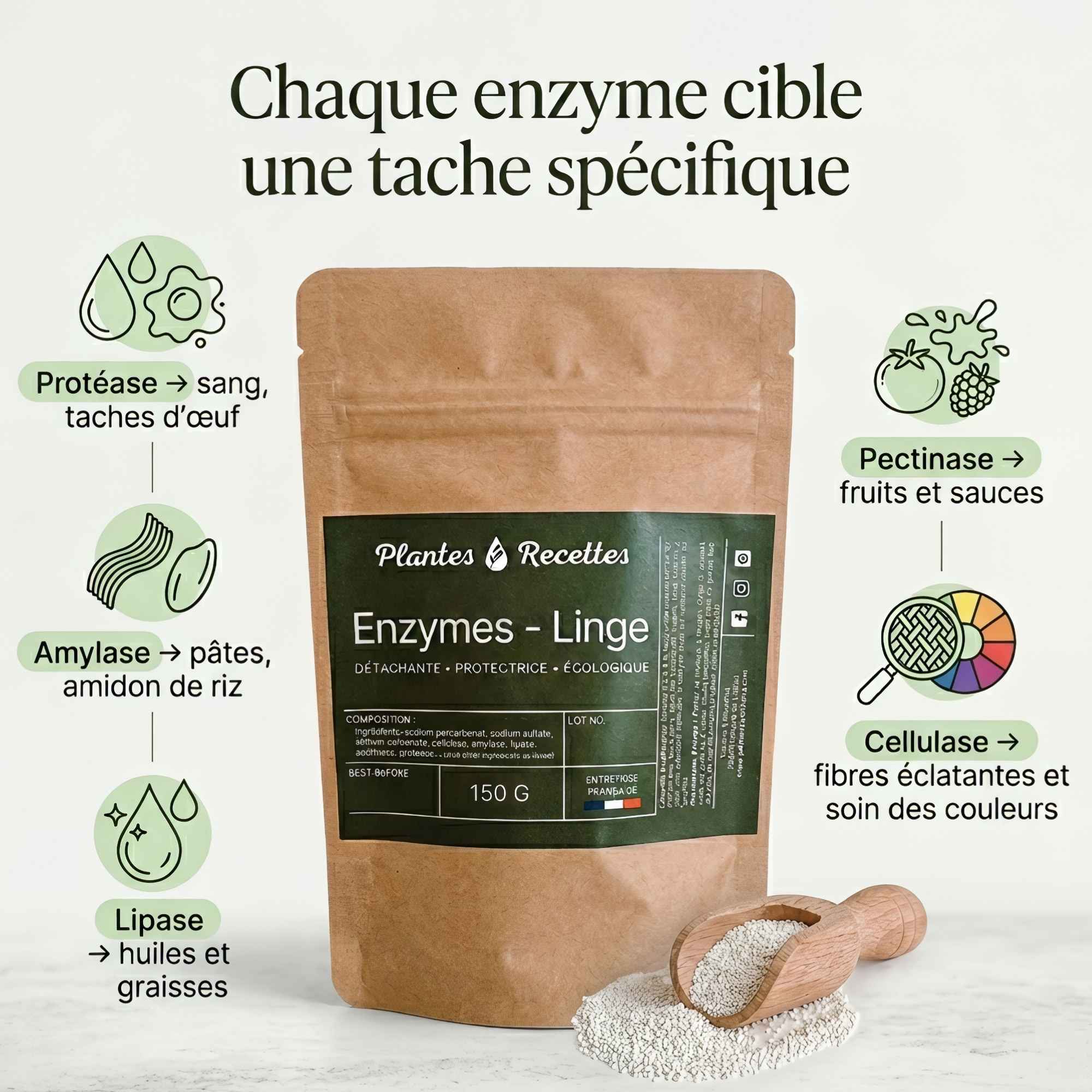 Enzymes pour lessive maison ciblant différents types de taches sur le linge