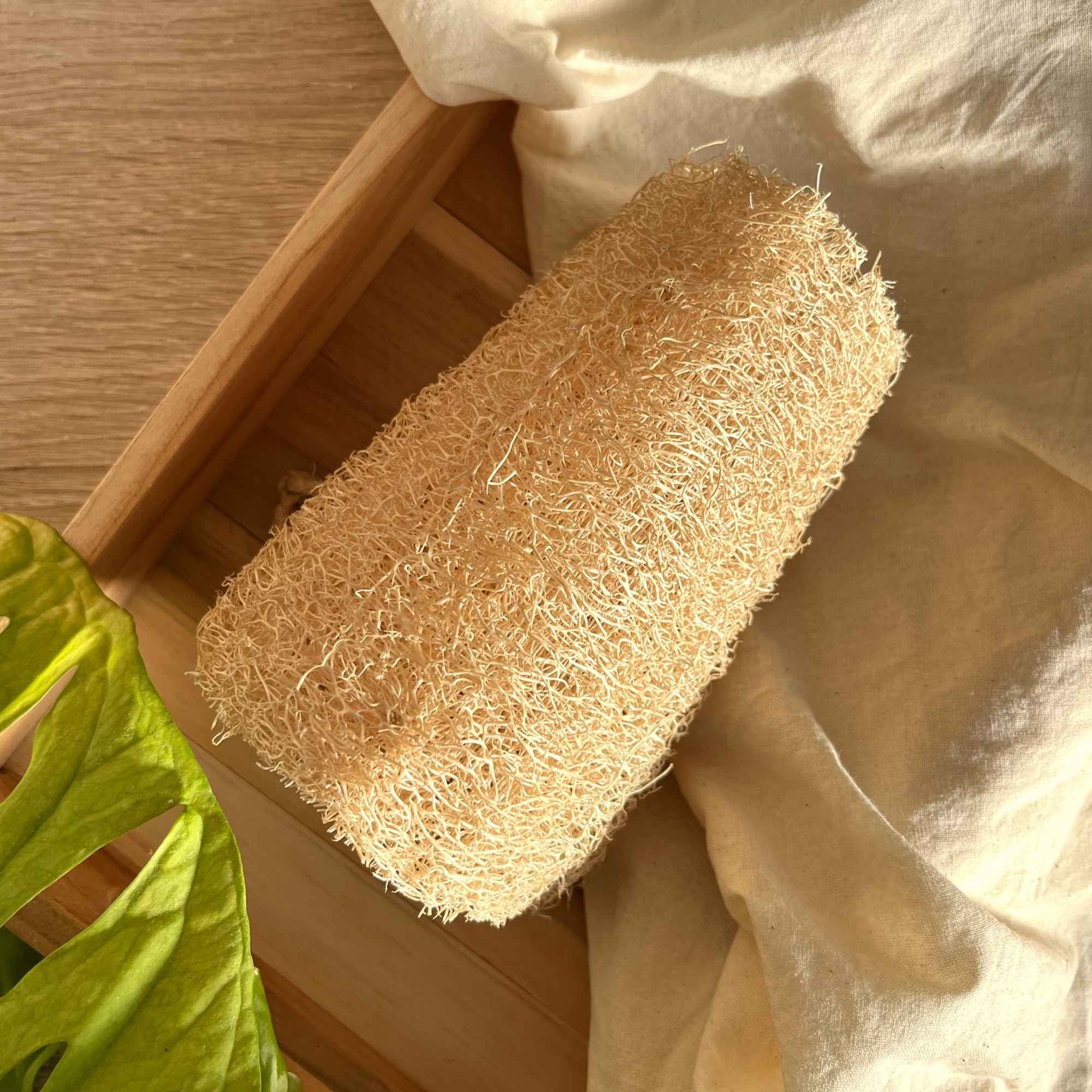 Éponge de bain en luffa naturelle, accessoire d’exfoliation douce présenté par Plantes & Recettes