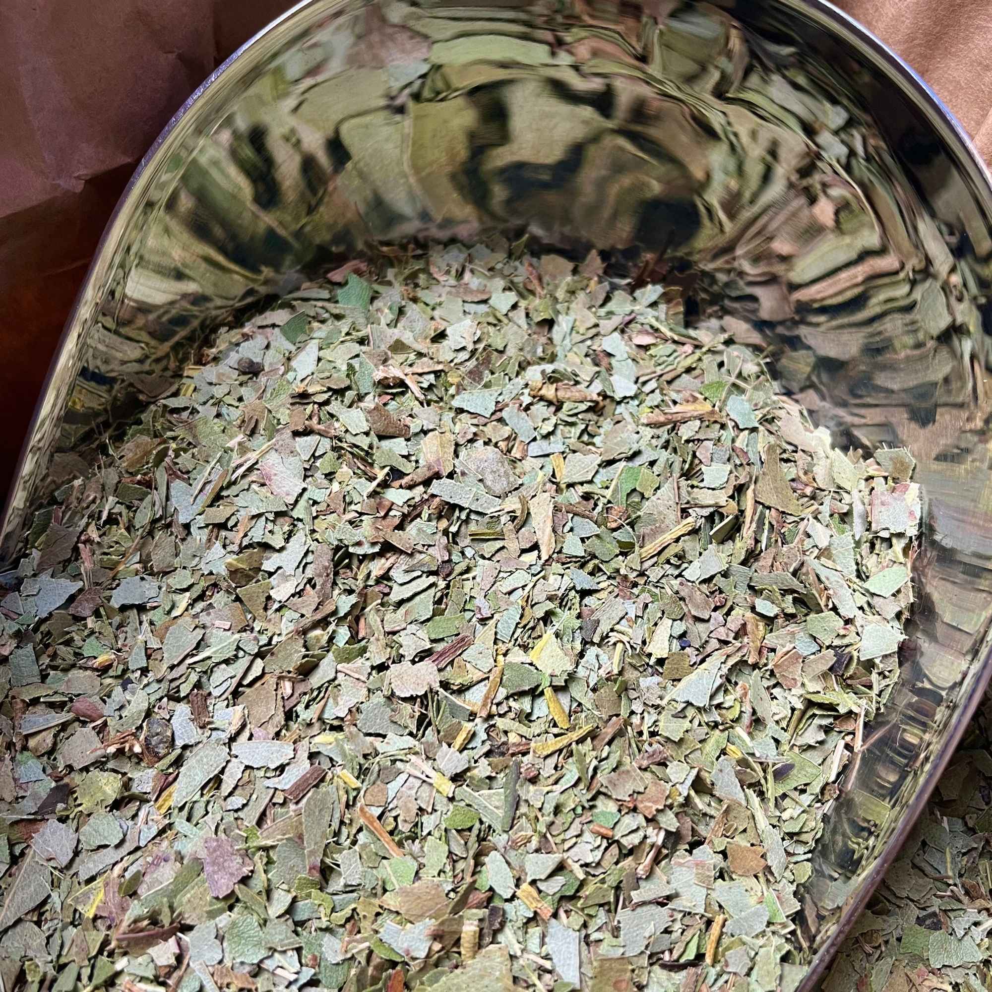 Feuilles d’eucalyptus bio coupées, plante aromatique intense pour infusion ou inhalation.