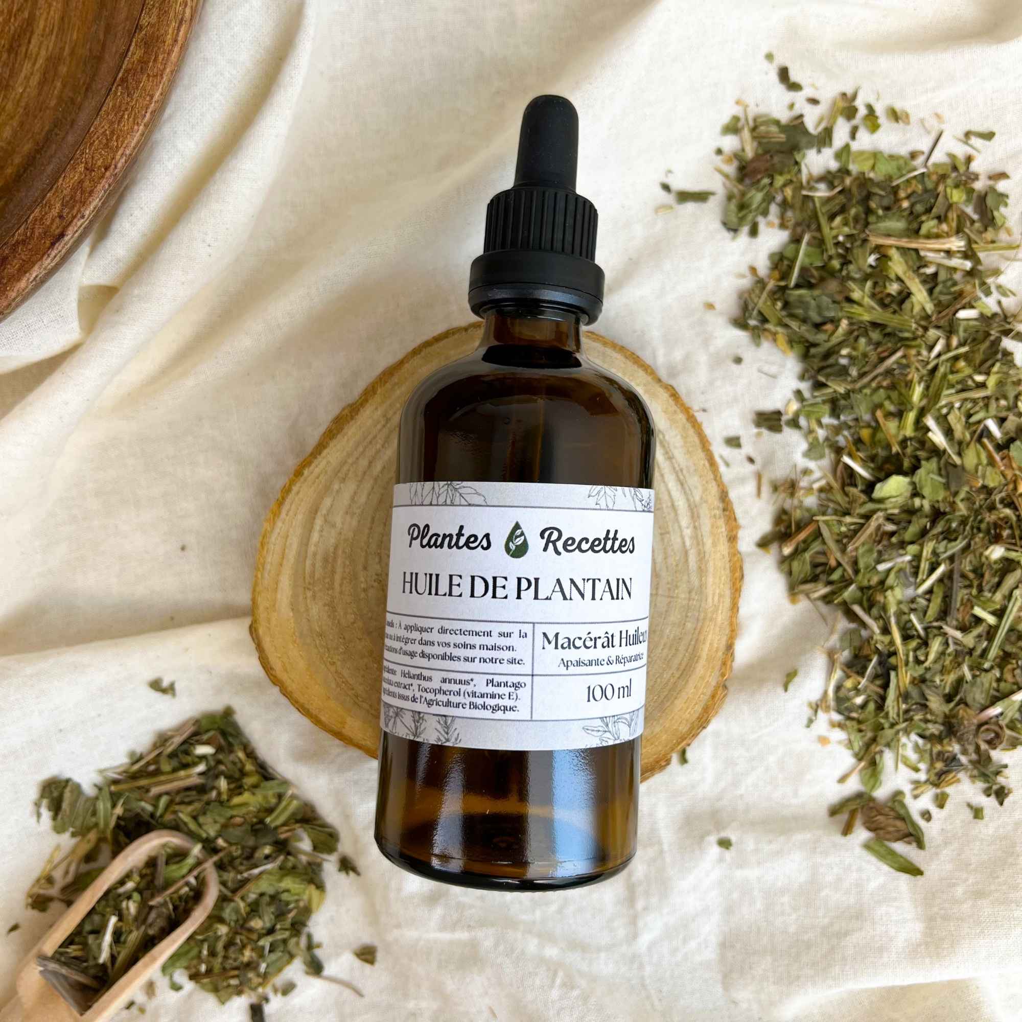 Feuilles de plantain bio infusées lentement dans une huile végétale pour créer un macérat adoucissant et réparateur Plantes & Recettes.