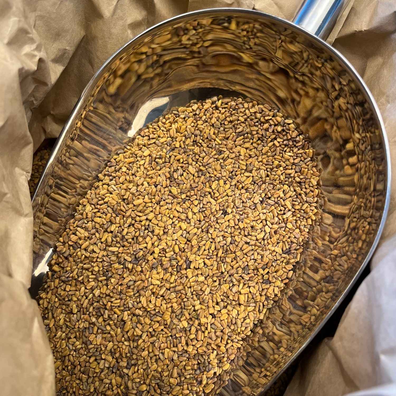 Photo de fenugrec - graines bio séchée vendue par Plantes & Recettes, spécialisée en plantes médicinales de qualité.