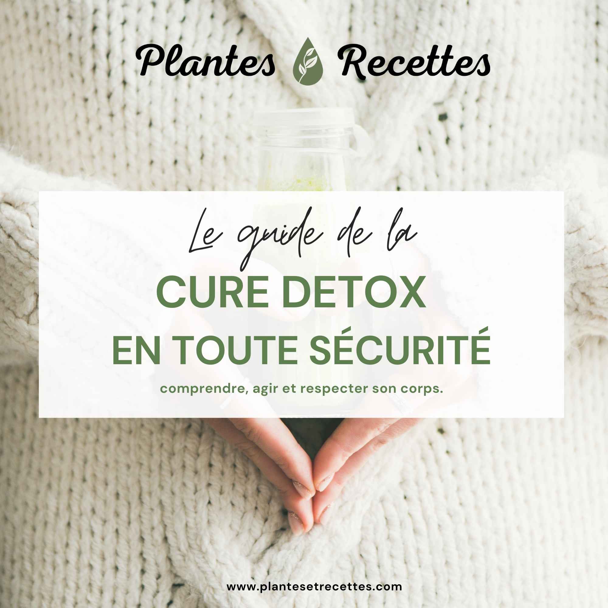 Formation Cure Détox 21 jours Plantes & Recettes – Ebook 40 pages et vidéo 40 minutes pour soutenir foie, reins et alimentation