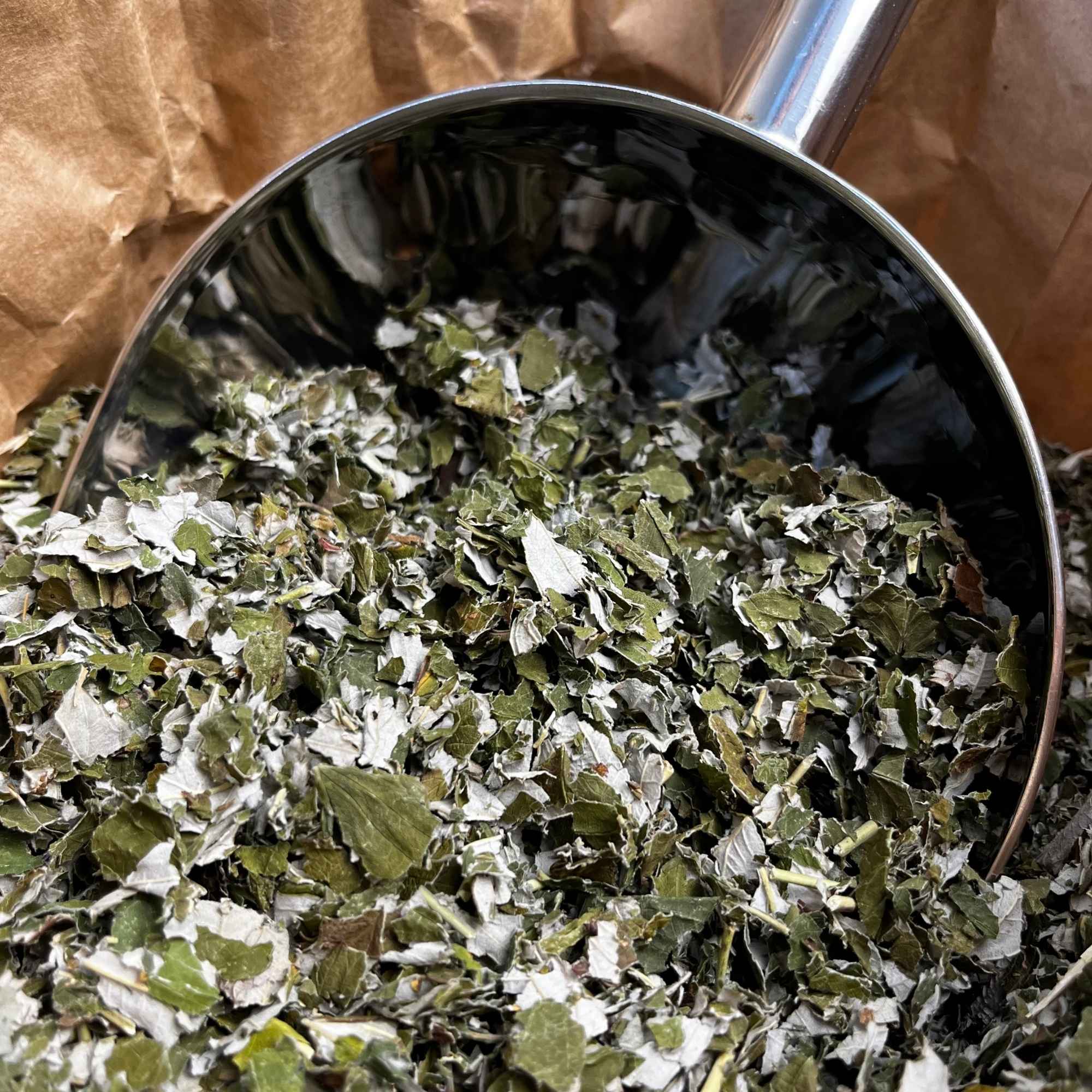 Feuilles de framboisier bio séchées Rubus idaeus pour infusion et tisane féminine