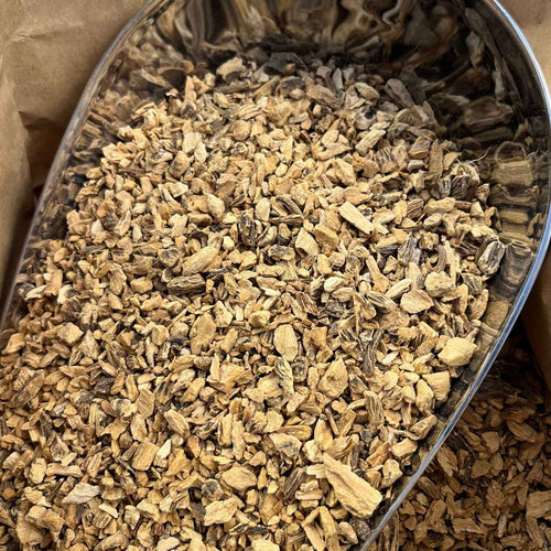 Photo de gentiane  racines bio séchée vendue par Plantes & Recettes, spécialisée en plantes médicinales de qualité.