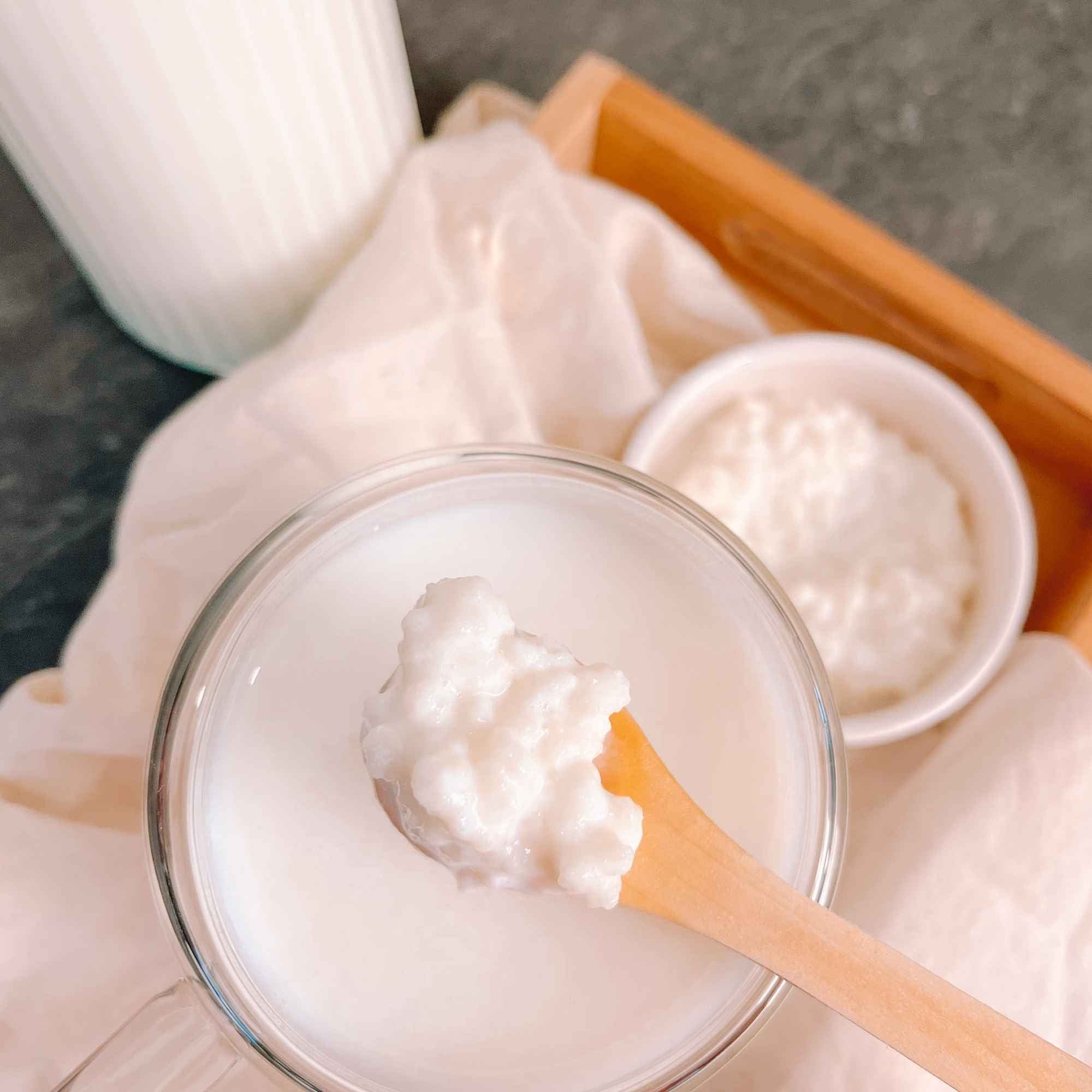 Grains de kéfir de lait frais, vivants et actifs, prêts à être utilisés pour préparer du kéfir maison.