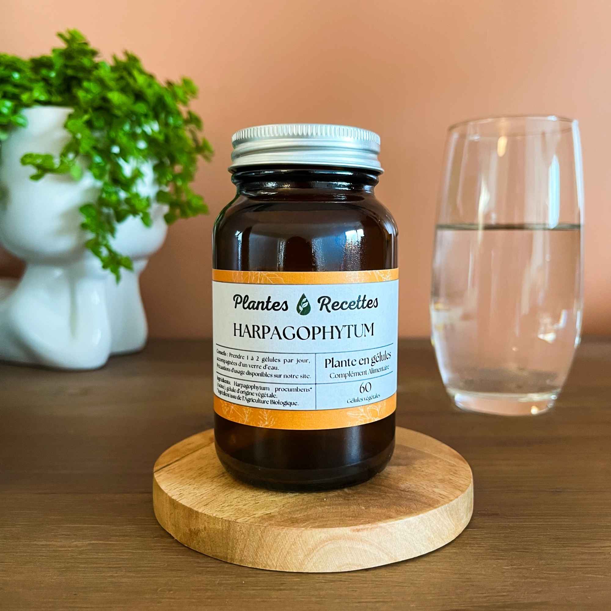 Gélules d’harpagophytum bio Plantes & Recettes, qualité herboristerie, fabrication française, capsules végétales vegan en pilulier verre ambré, cure 1 mois.