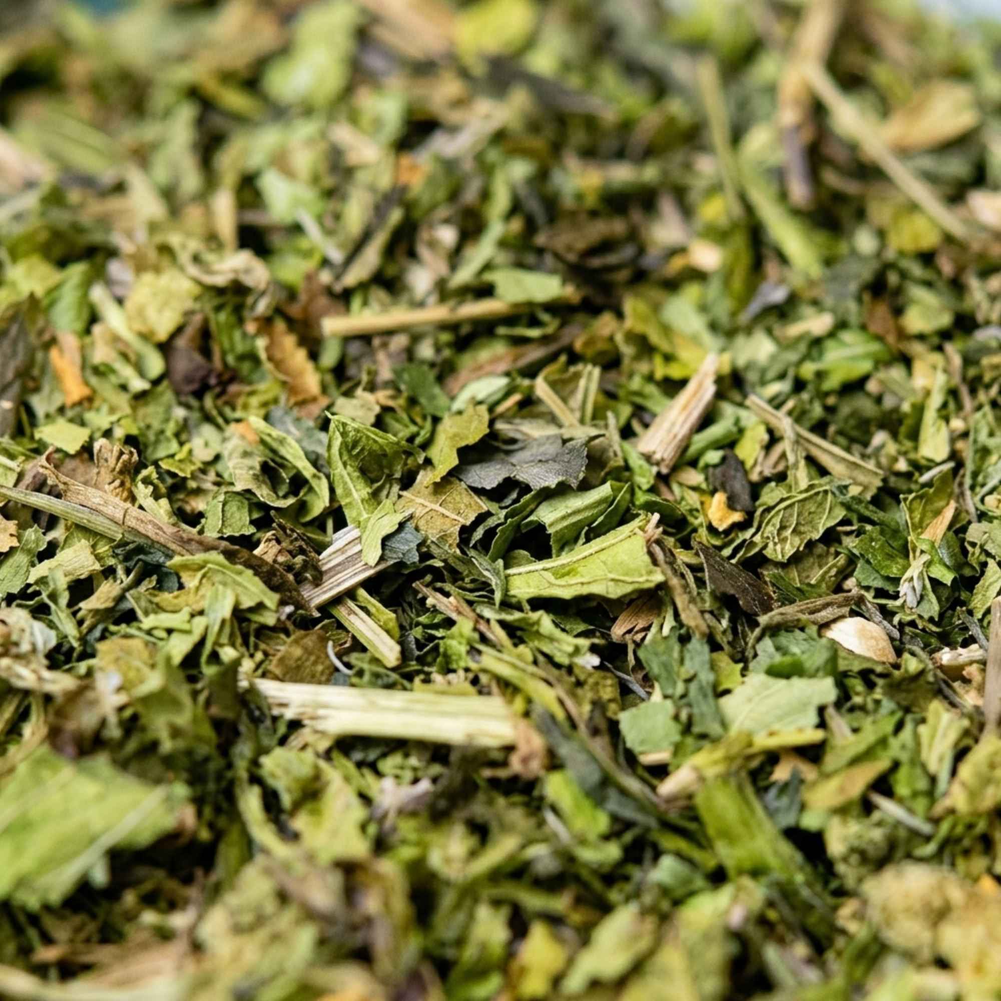 Herbes de Normandie pour accompagner poissons et plats maison