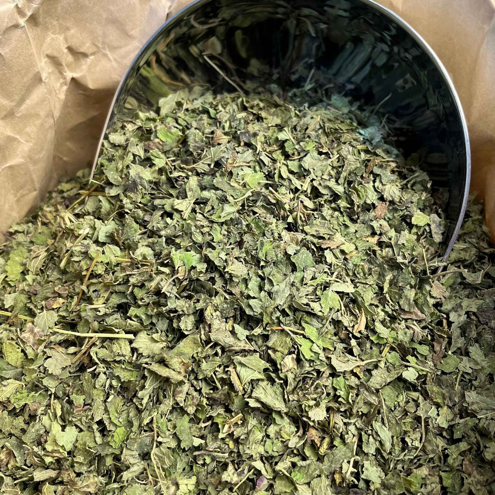Feuilles séchées de mélisse bio, coupées et prêtes pour infusion, réputées pour leur parfum citronné et leur usage traditionnel calmant et digestif.