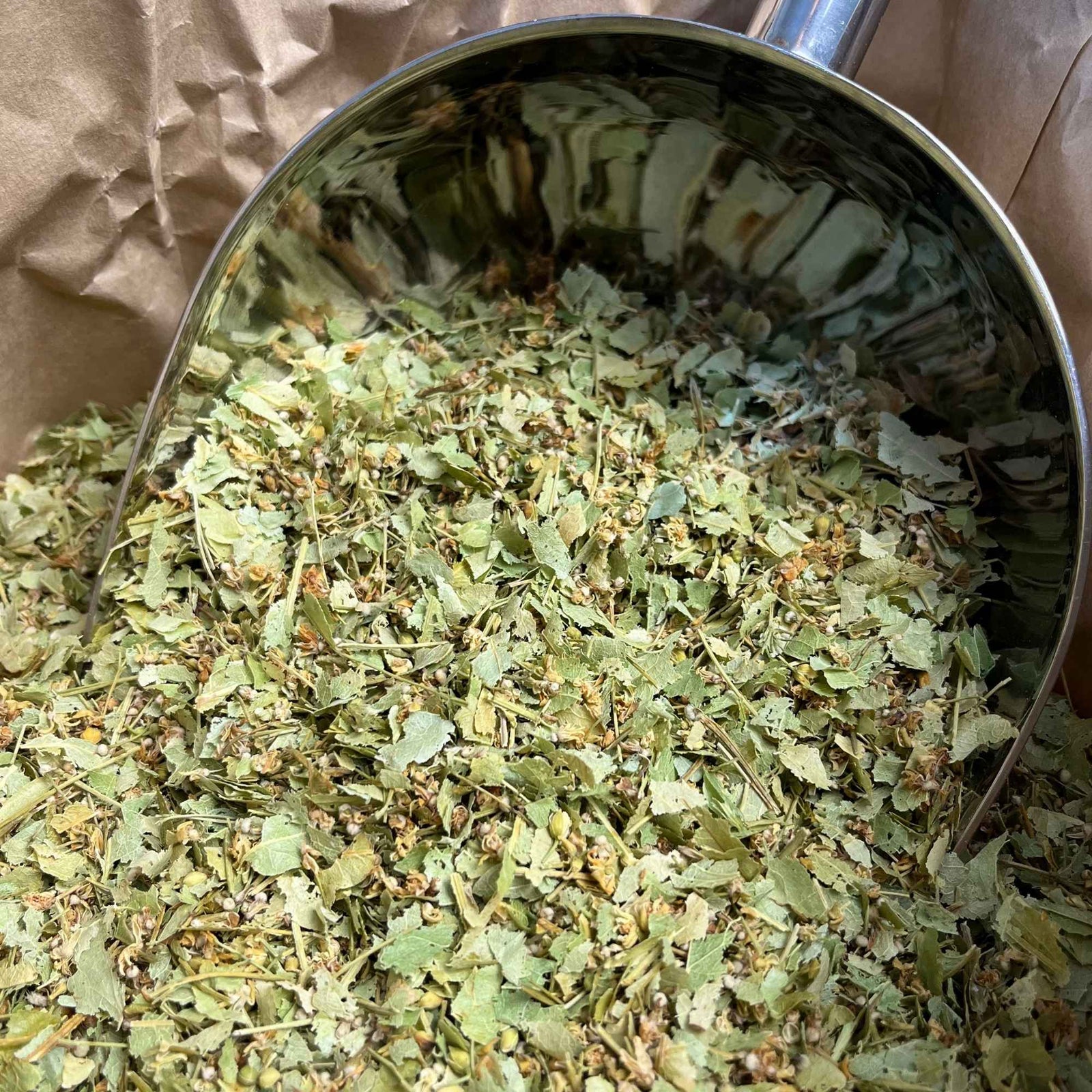 Bractées de tilleul bio séchées et coupées, idéales en infusion douce et apaisante pour favoriser la détente et préparer un sommeil naturel.