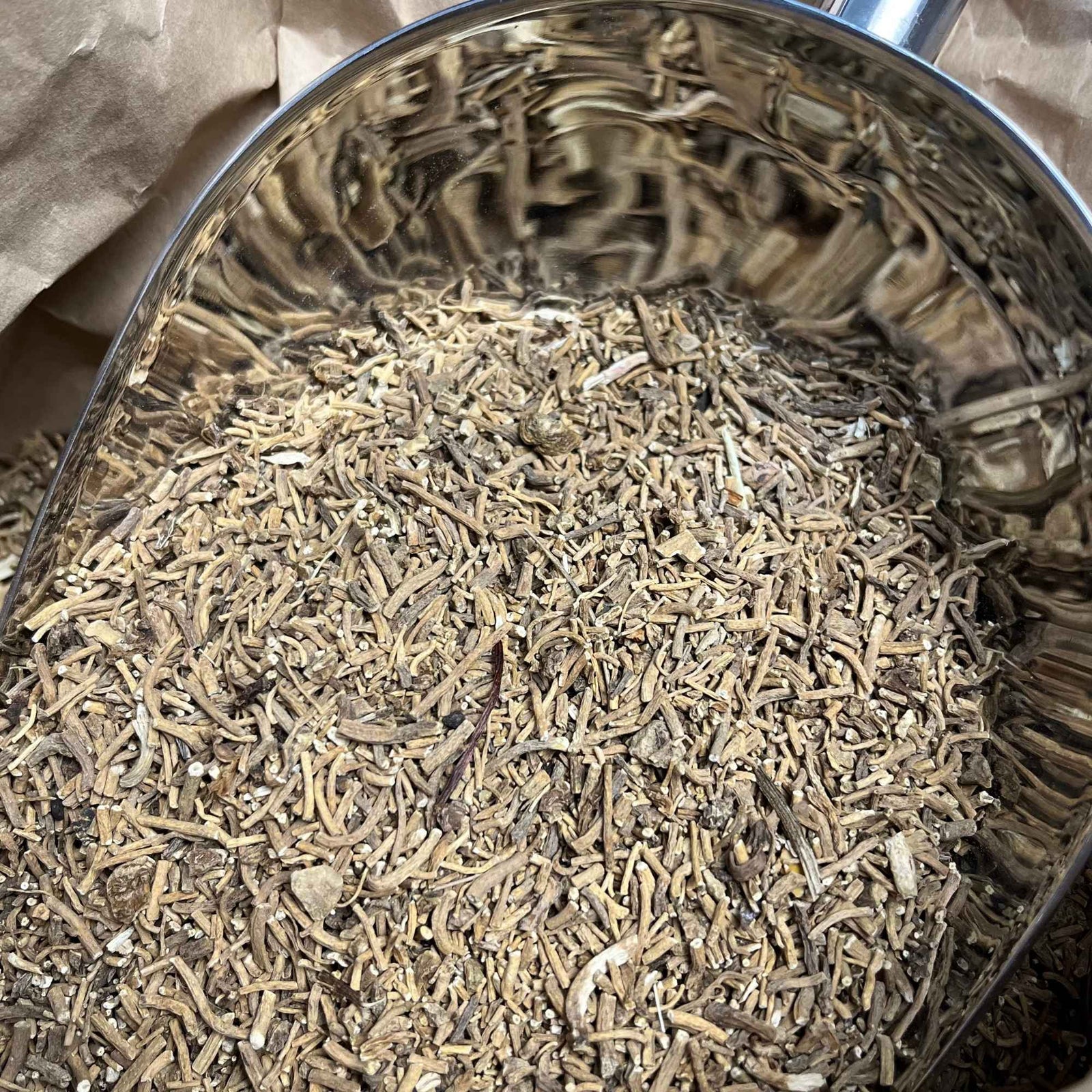 Racines de valériane bio séchées et coupées, idéales pour préparer une infusion relaxante et soutenir un sommeil naturel.