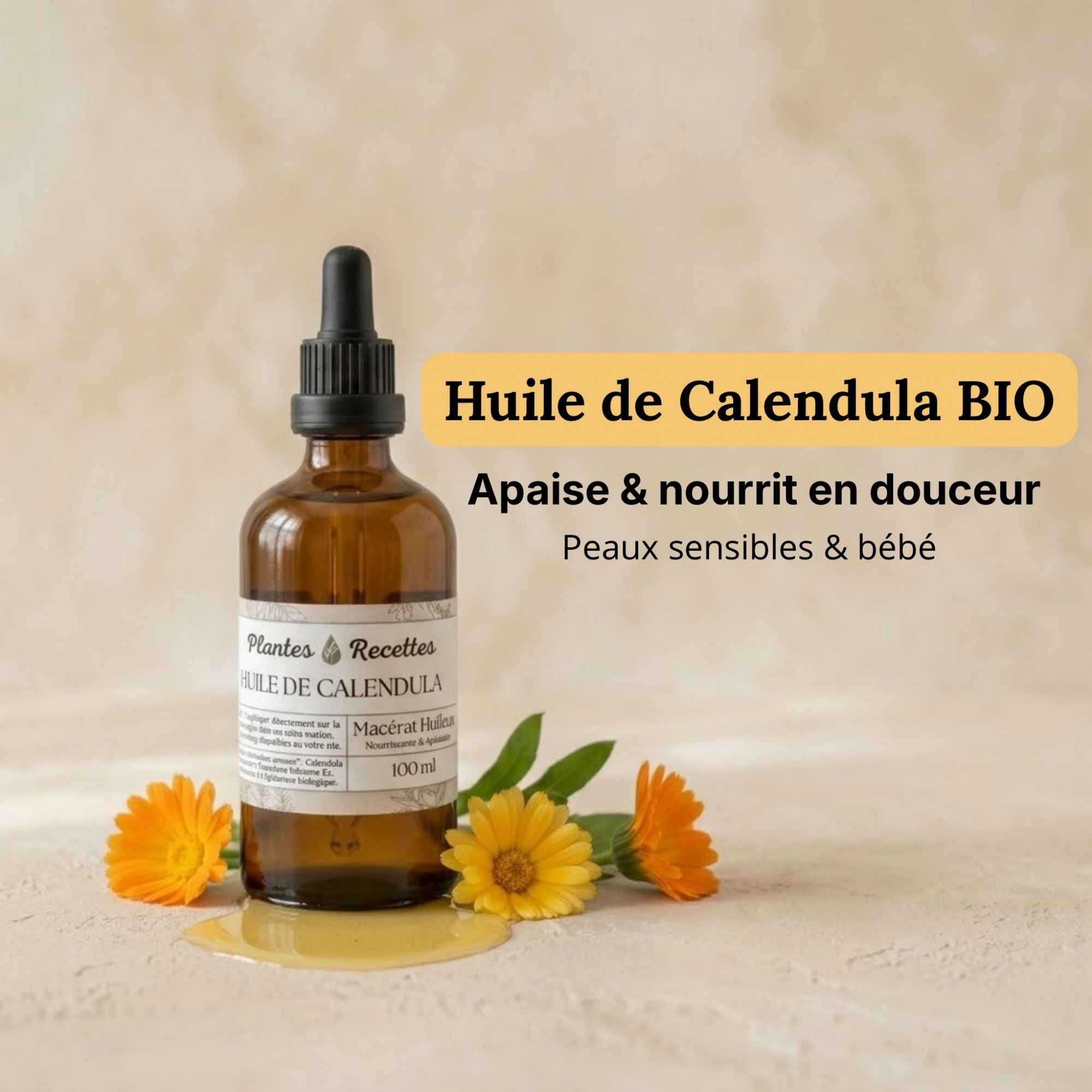 Huile de calendula naturelle en flacon verre, préparation douce traditionnellement utilisée pour les peaux sensibles