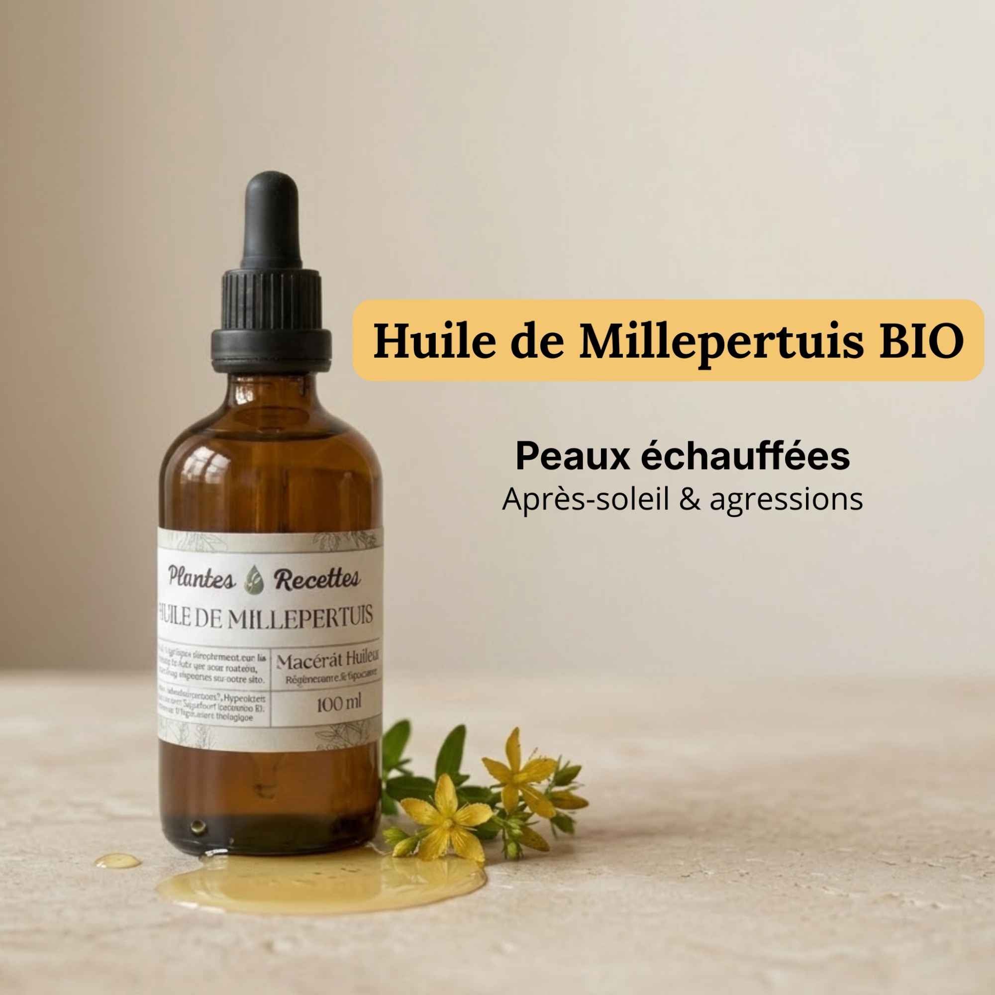 Huile de millepertuis naturelle en flacon verre, préparation utilisée en soin cutané traditionnel