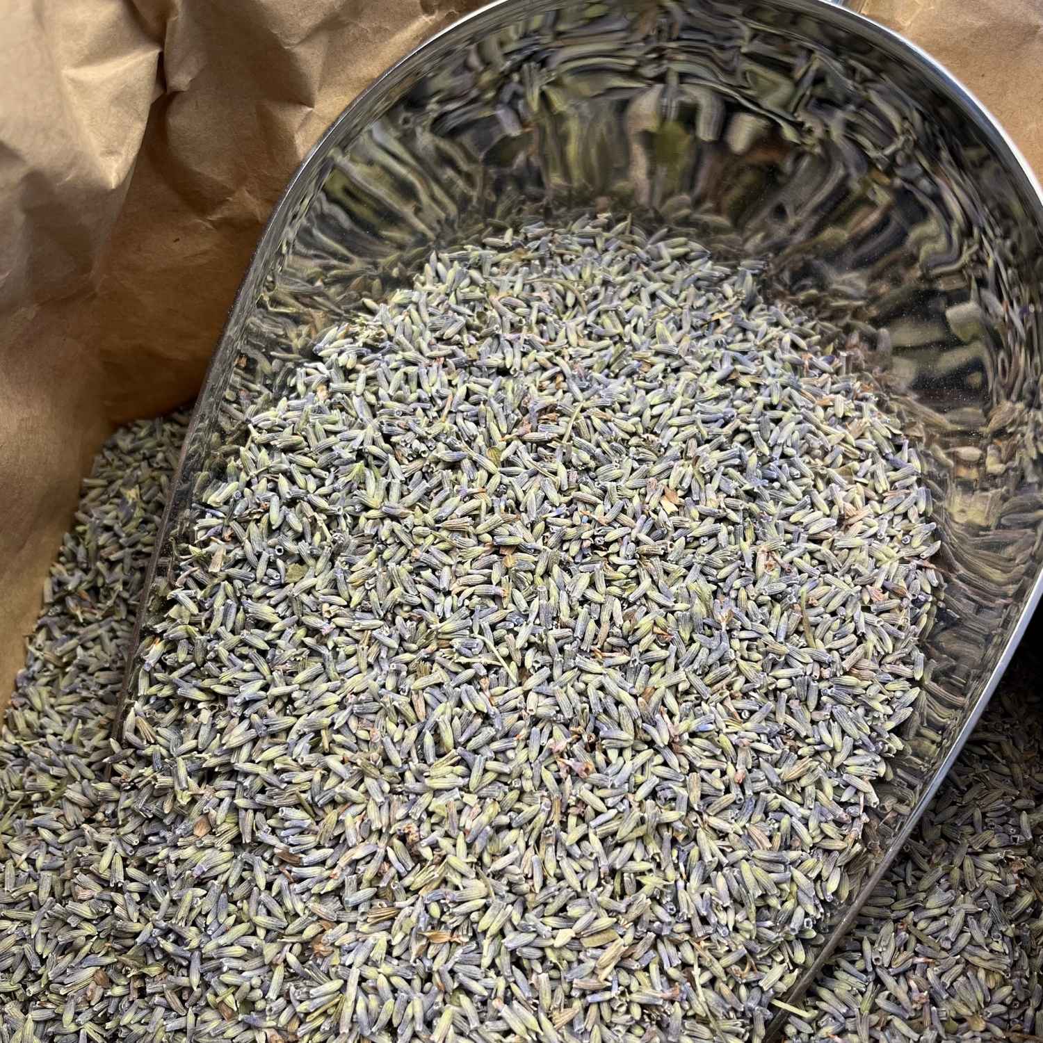Photo de lavandin  fleurs entières bio séchée vendue par Plantes & Recettes, spécialisée en plantes médicinales de qualité.
