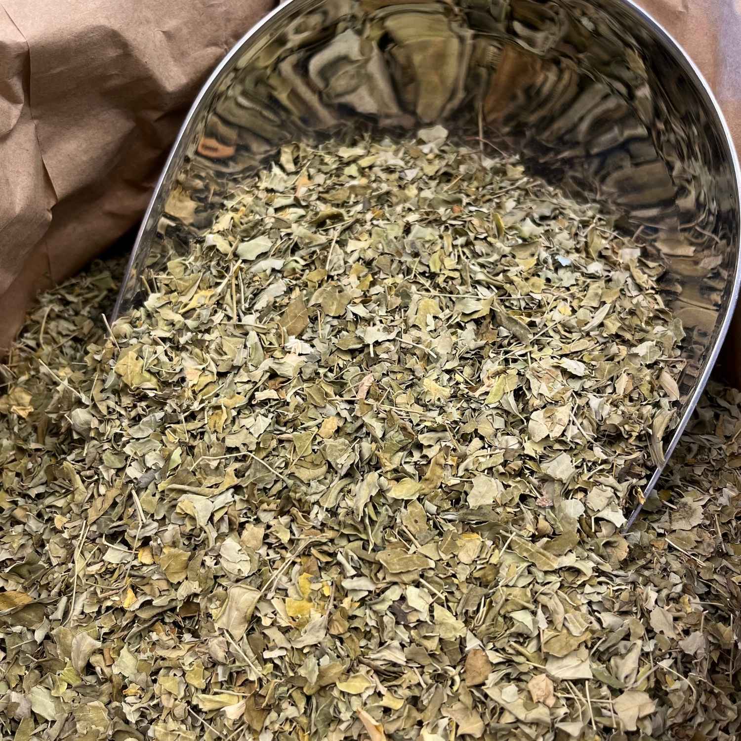 Photo de moringa  feuilles bio séchée vendue par Plantes & Recettes, spécialisée en plantes médicinales de qualité.