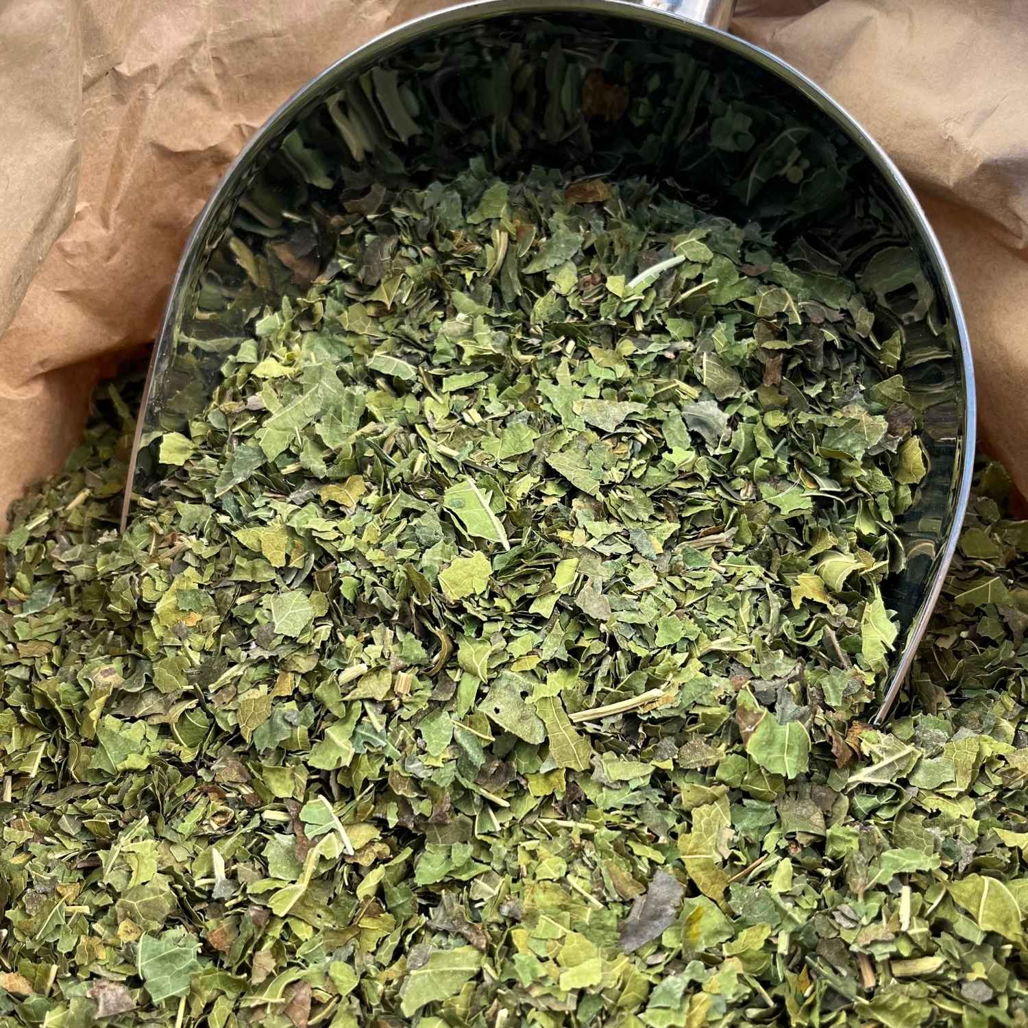 Photo de mûrier  feuilles france bio séchée vendue par Plantes & Recettes, spécialisée en plantes médicinales de qualité.