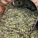Photo de pissenlit  parties aériennes coupées bio séchée vendue par Plantes & Recettes, spécialisée en plantes médicinales de qualité.