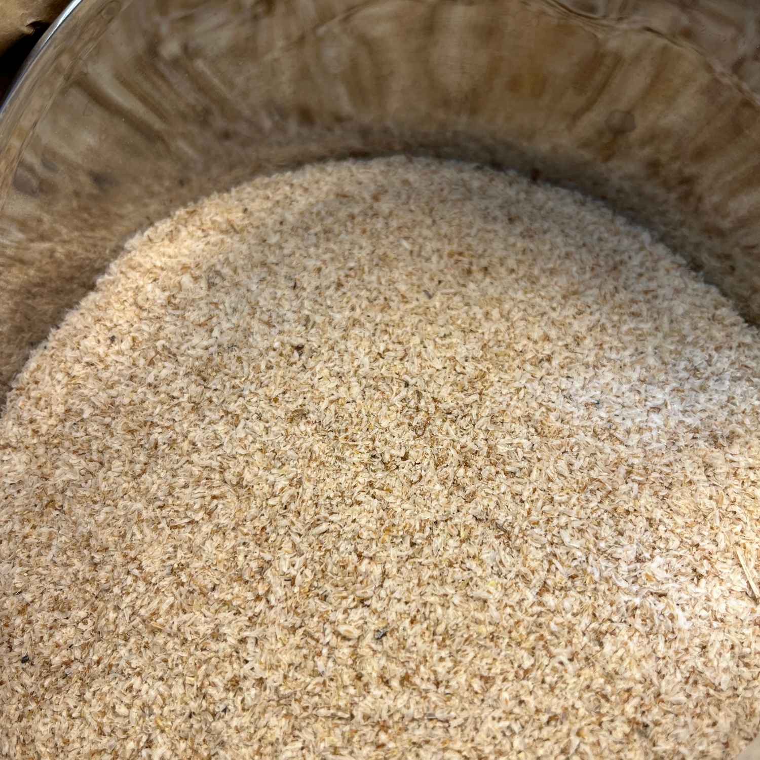 Photo de psyllium blond  téguments bio séchée vendue par Plantes & Recettes, spécialisée en plantes médicinales de qualité.