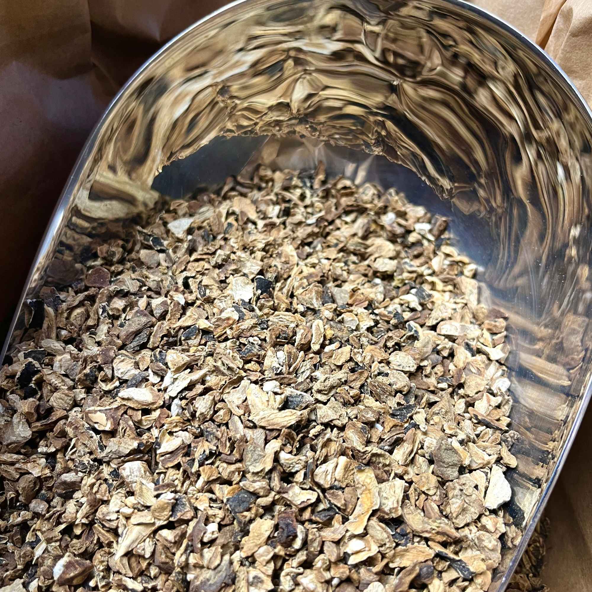 Radis noir bio en racines coupées, plante traditionnelle utilisée en infusion ou decoction.