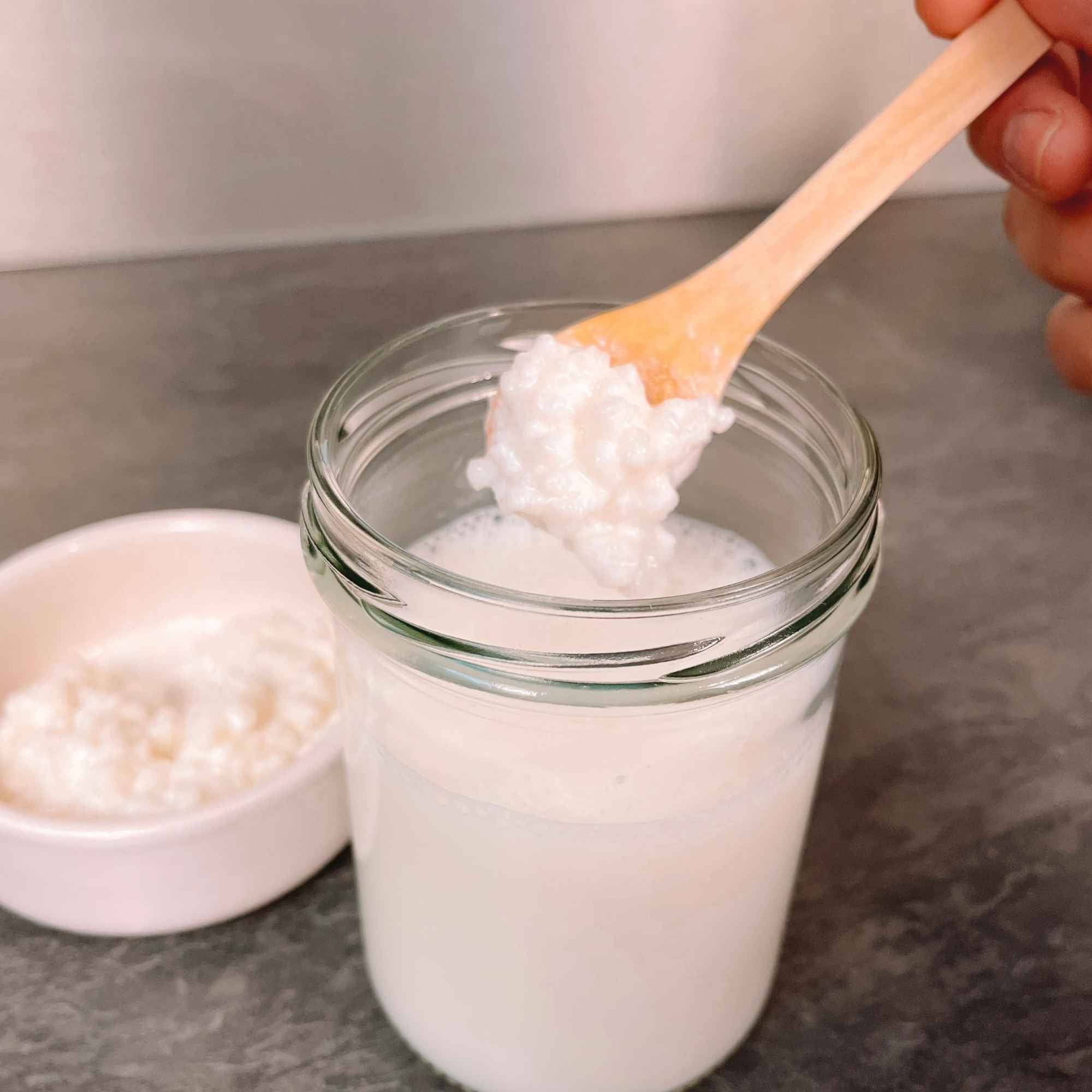 Souche de kéfir de lait fraîche conditionnée en sachet hermétique, prête à l’emploi dès réception.