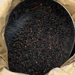 Photo de sureau  fruits bio séchée vendue par Plantes & Recettes, spécialisée en plantes médicinales de qualité.