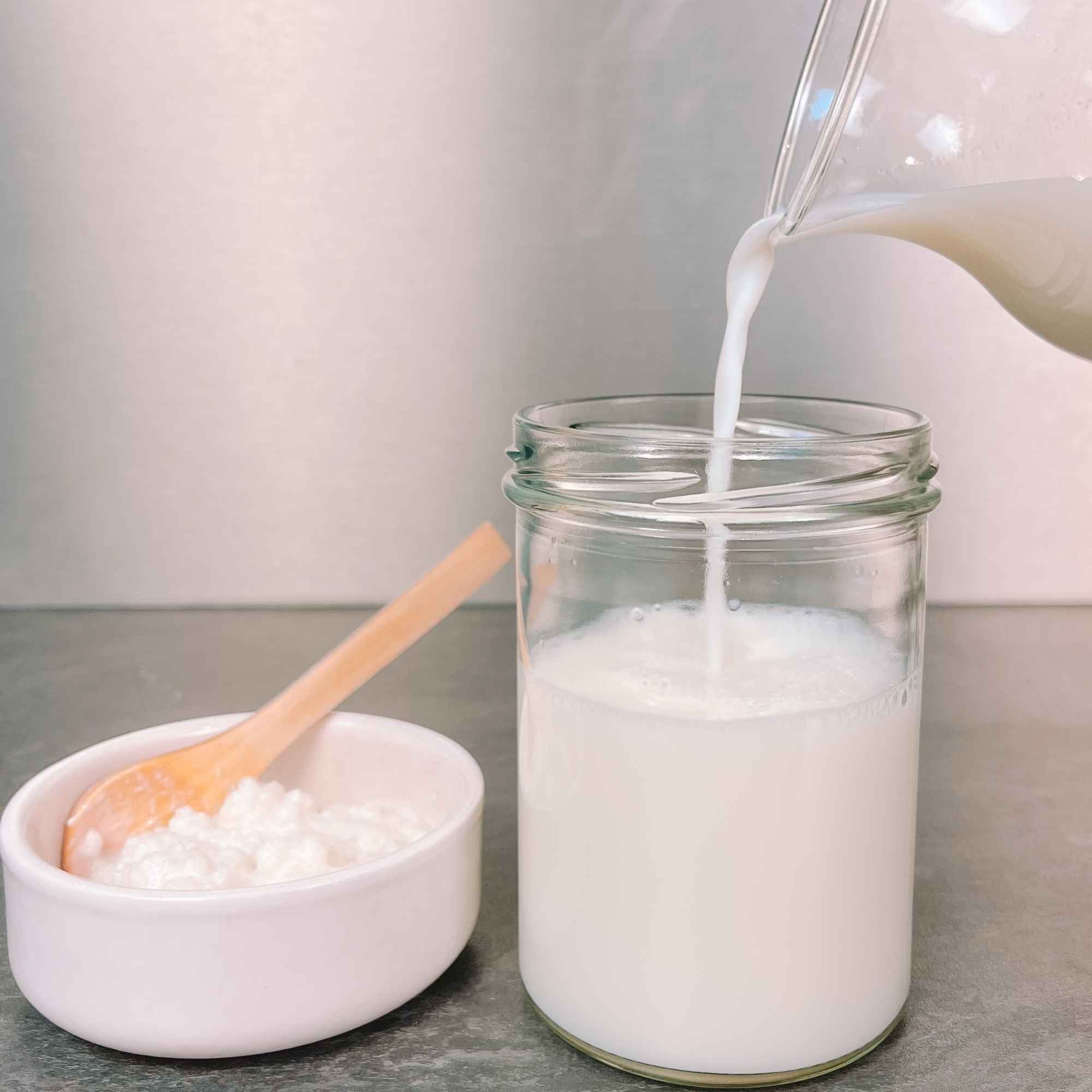 Souche de kéfir de lait fraîche utilisée avec du lait pour démarrer une fermentation maison.