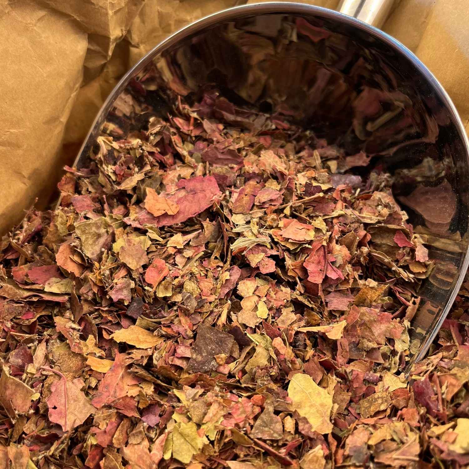 Photo de vigne rouge  feuilles coupées bio séchée vendue par Plantes & Recettes, spécialisée en plantes médicinales de qualité.